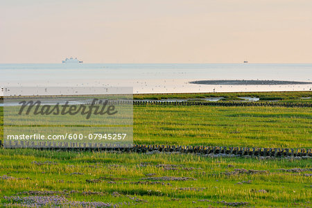 Marshland with North Sea and Ships at sunset, Norderney, East Frisia Island, North Sea, Lower Saxony, Germany