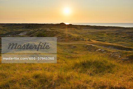 View over Dunes at Sunset, Norderney, East Frisia Island, North Sea, Lower Saxony, Germany