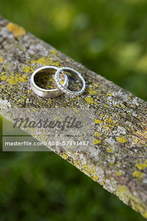 Close-up of Wedding Bands on Lichen Covered Piece of Wood Close-up of Wedding Bands on Lichen Covered Piece of Wood