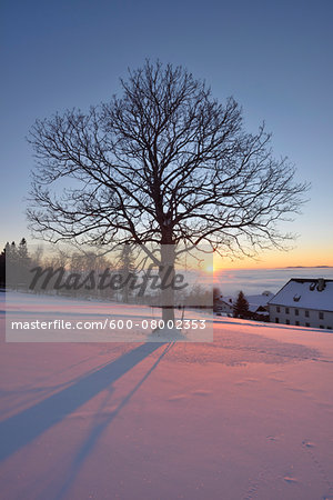 Landscape with Sun Setting over Clouds and Hill in Winter, Bavarian Forest, Bavaria, Germany