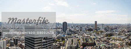 Southern view of Tokyo from Cerulean Tower in Shibuya with Infoss Tower in forground, Tokyo, Japan