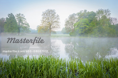 Lake on Misty Morning in Spring, Park Schonbusch, Aschaffenburg, Lower Franconia, Bavaria, Germany