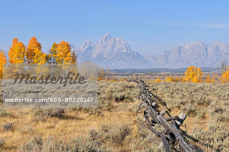 Buck and rail fence with Teton Mountain Range in background, Jackson, Grand Teton, Grand Teton National Park, Wyoming, USA