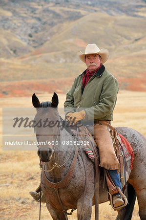 Cowboy Riding Horse, Shell, Wyoming, USA