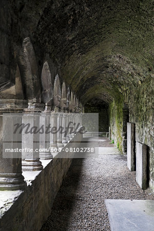 Sligo Abbey (Mainistir Shligigh), Sligo, Republic of Ireland