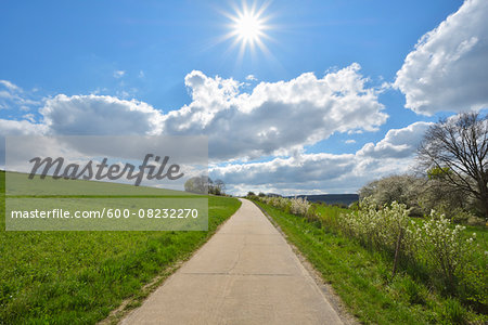 Road through Field with Sun, Bettingen, Wertheim, Main-Tauber-District, Odenwald, Baden-Wurttemberg, Germany