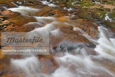 Forest Stream in Winter, Ilse, Ilsenburg, Harz, Lower Saxony, Germany