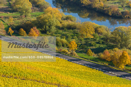River Landscape with Colorful Vineyards in Autumn, Volkach, Alte Mainschleife, Mainfranken, Franconia, Bavaria, Germany River Landscape with Colorful Vineyards in Autumn, Volkach, Alte Mainschleife, Mainfranken, Franconia, Bavaria, Germany