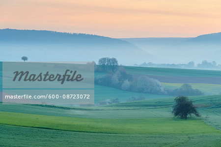 Countryside on Misty Morning at Dawn, Monchberg, Spessart, Bavaria, Germany