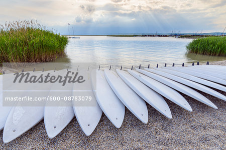 Surfboards on Beach, Neusiedl, Lake Neusiedl, Burgenland, Austria