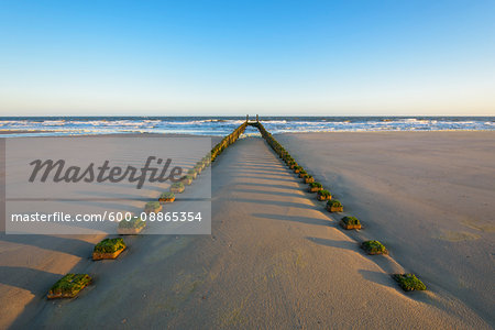 Wooden Breakwater on Sandy Beach at Low Tide, Domburg, North Sea, Zeeland, Netherlands