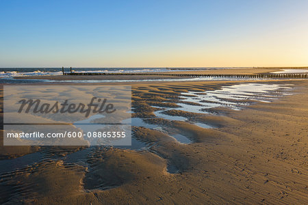 Wooden Breakwater on Sandy Beach at Low Tide, Domburg, North Sea, Zeeland, Netherlands