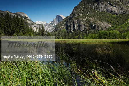 Half Dome mountain in Yosemite National Park in California, USA Half Dome mountain in Yosemite National Park in California, USA