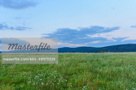 Meadow at dusk in summer at Roellbach in the Spessart hills in Bavaria, Germany