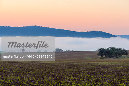 Countryside with morning mist at dawn over fields in Grossheubach in Bavaria, Germany