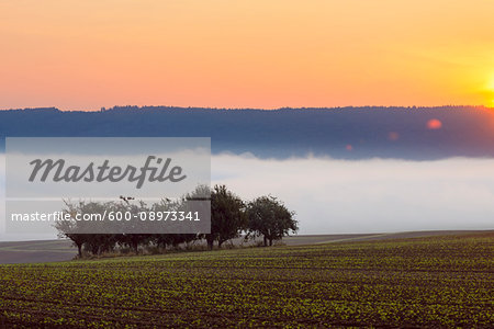 Countryside with morning mist and sunrise over fields in Grossheubach in Bavaria, Germany Countryside with morning mist and sunrise over fields in Grossheubach in Bavaria, Germany