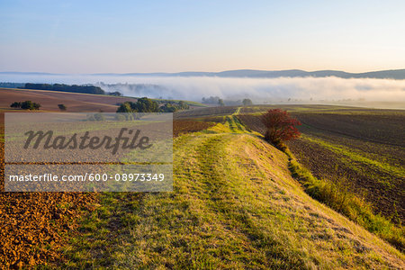 Countryside with pathway and morning mist over the fields in the community of Grossheubach in Bavaria, Germany