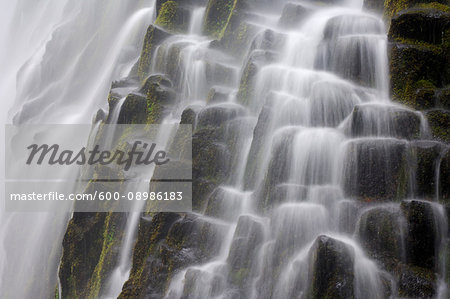 Close-up of the Proxy Falls cascading over basalt columns at Three Sisters Wilderness in Oregon, USA