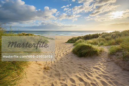 Footprints in the sand along a path on the beach at sunrise at the North Sea in Bamburgh in Northumberland, England, United Kingdom Footprints in the sand along a path on the beach at sunrise at the North Sea in Bamburgh in Northumberland, England, United Kingdom