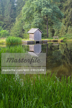 Little pond and fishing hut at Klause in Alt Neuschoenau in the Bavarian Forest National Park, Bavaria, Germany