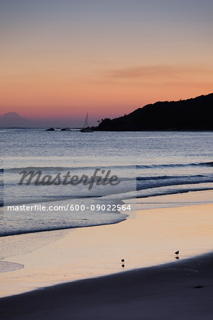 Scenic view of surf on the beach with two sandpipers at Byron Bay in New South Wales, Australia Scenic view of surf on the beach with two sandpipers at Byron Bay in New South Wales, Australia