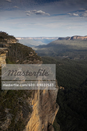 Scenic view of the elevated plateau in the Blue Mountains National Park in New South Wales, Australia Scenic view of the elevated plateau in the Blue Mountains National Park in New South Wales, Australia