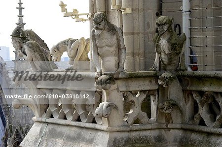 610-03810142em-france-paris-75-ile-de-france-gargoyles-of-notre-dame-stock-photo.jpg