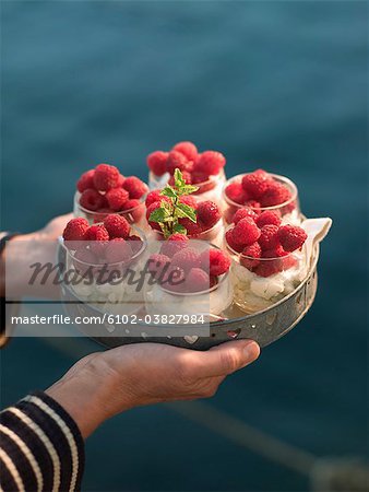 Raspberry dessert on a tray, Sweden.