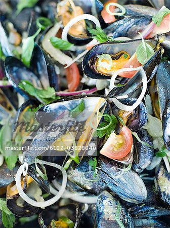 Clams, close-up, Sweden.