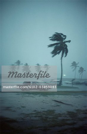 Cars on beach during storm Cars on beach during storm