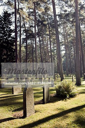 A cemetery, Sweden.