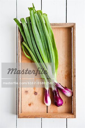 Close up of scallions in wooden crate