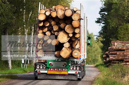 Truck carrying timber