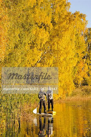 Two people rowing paddle boards in autumn trees