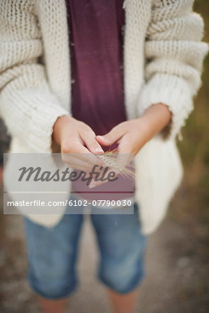 Hands holding wheat