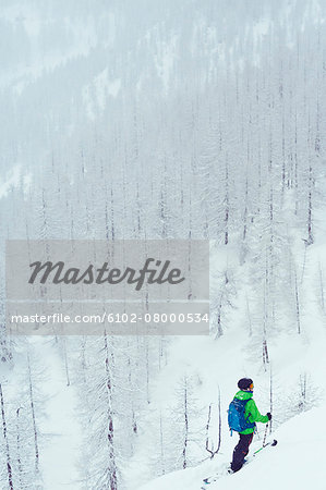 Skier looking at view