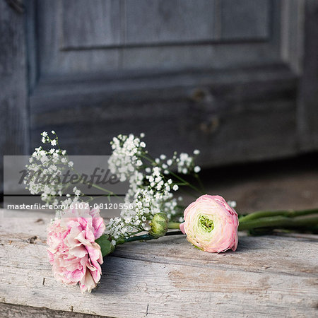 Wildflowers on doorstep