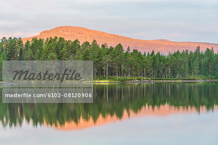 Mountain and forest reflecting in water