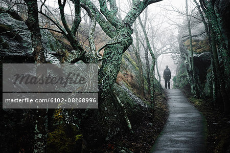 Person at the end of forest path