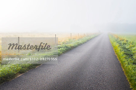 Country road in fog