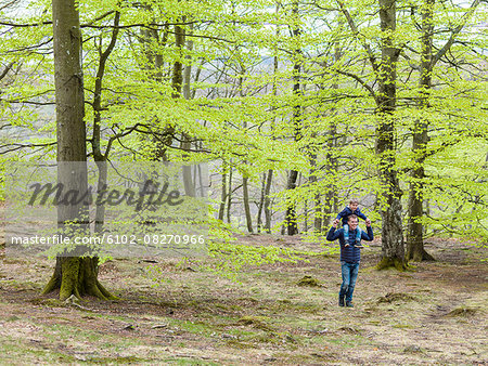 Father with son walking through forest