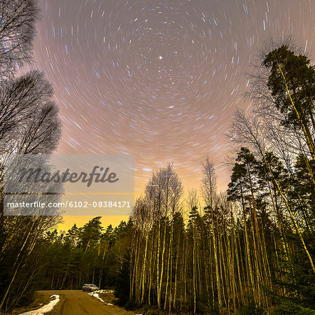 Forest road under starry sky