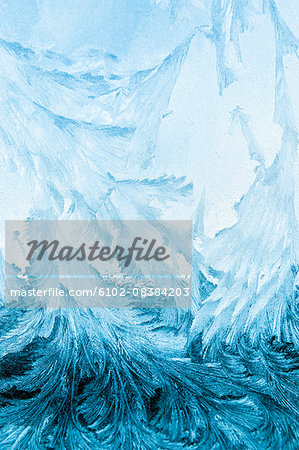 Ice Crystals On Window Stock Photo Masterfile Premium Royalty Free Code 6102 0843