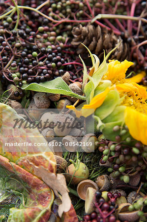 Variation of dry flowers and acorn