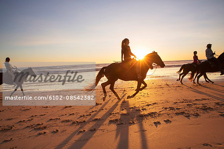 People horseback riding on beach at sunset