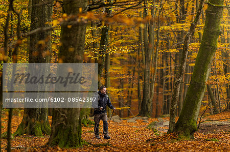 Mid adult man walking through forest