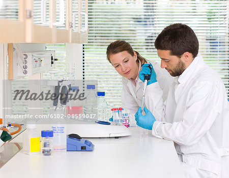 Researchers working in laboratory