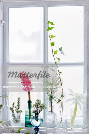 Flowers On Windowsill Sweden Stock Photo Masterfile Premium