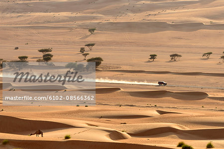 Car driving through desert
