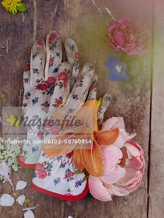 Gardening gloves and flowers on wooden background, still life